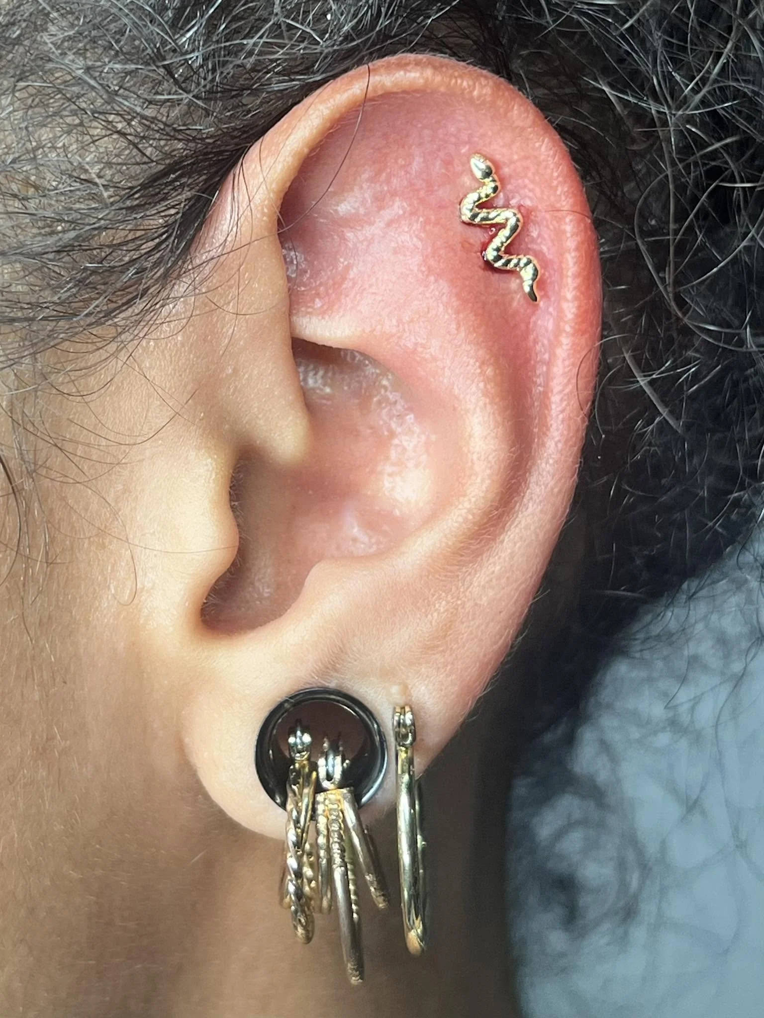 Close-up photo of a person's ear with multiple piercings, including a helix piercing with a small snake-shaped earring, and a black gauge earring in the earlobe.