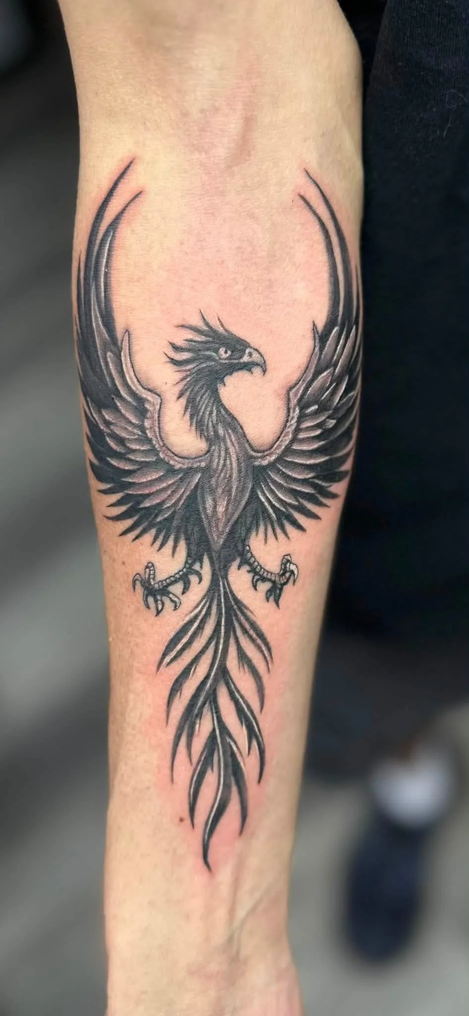 Black and gray tattoo of a stylized phoenix with outstretched wings on a person's arm.