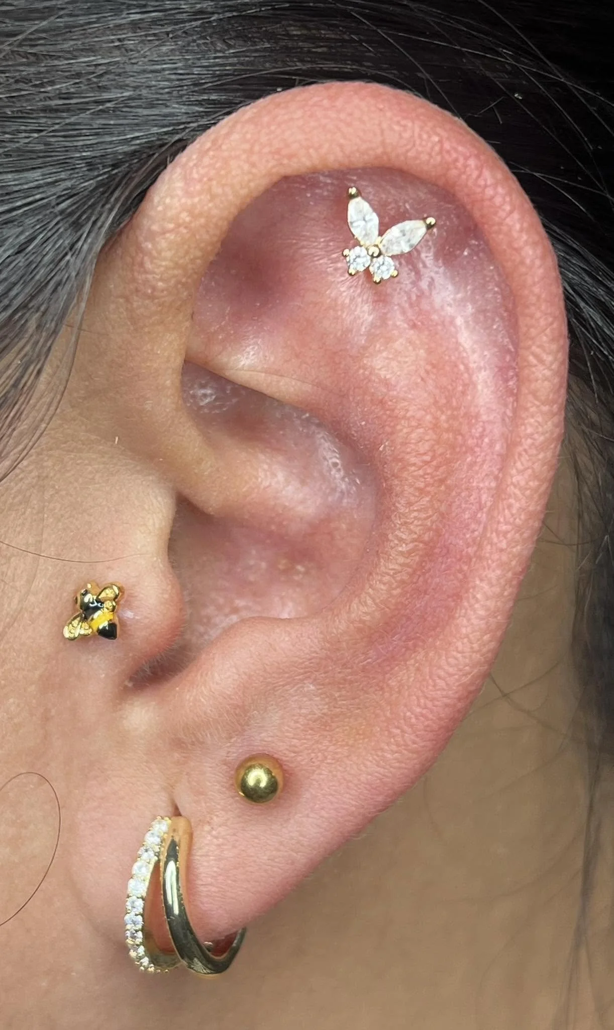 Close-up of a person's ear with multiple piercings, including a helix piercing with a butterfly-shaped diamond jewelry and several other piercings with gold jewelry, along with a small black and gold bee-shaped stud.