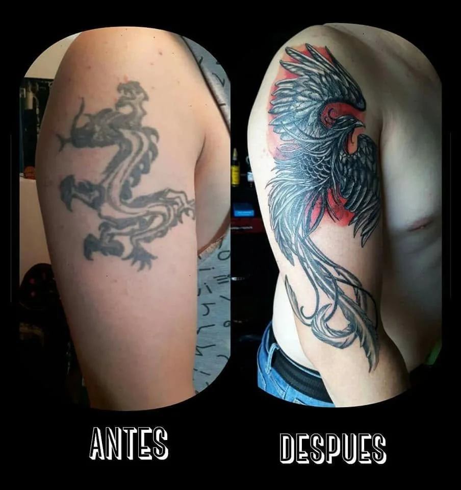 Comparison of two tattoos on a person's upper arm, with the left labeled 'Antes' showing an old, faded dragon tattoo, and the right labeled 'Después' displaying a new, detailed phoenix tattoo.