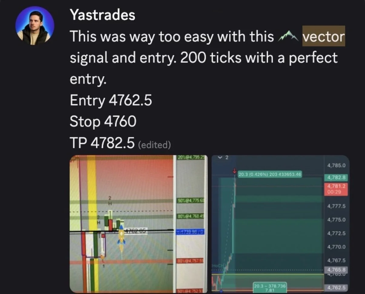 vectortesta12.jpg