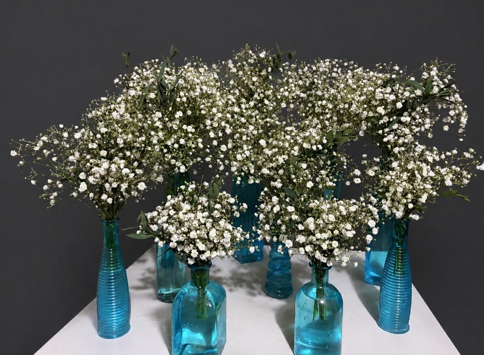 Babies Breath Bud Vases