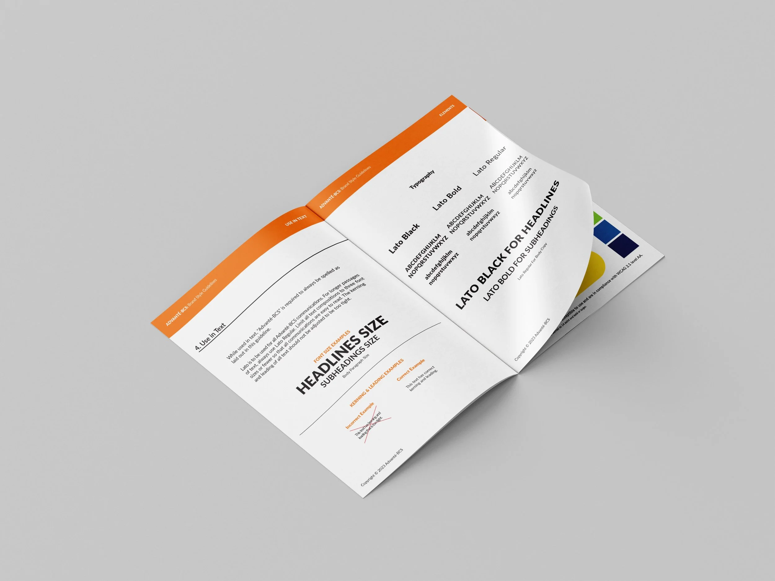 ABCS-Brand-Guide-Mockup.jpg