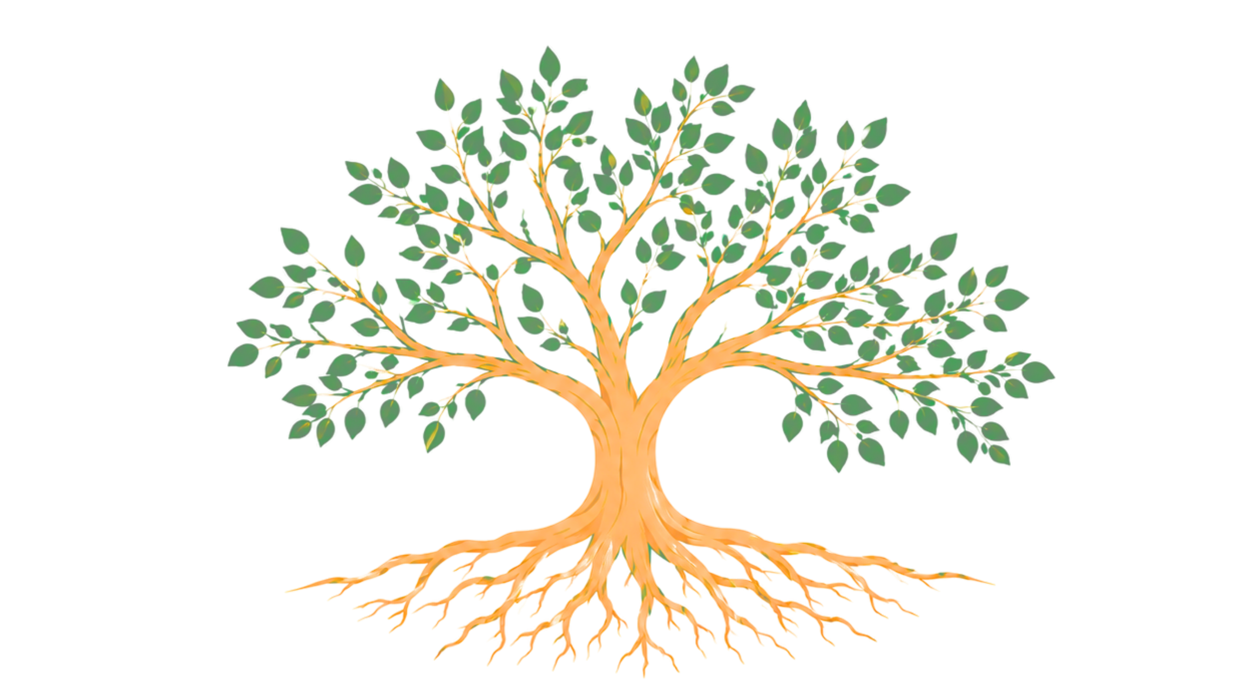 A digital illustration of a tree with a thick trunk, numerous branches, green leaves, and visible roots against a black background.