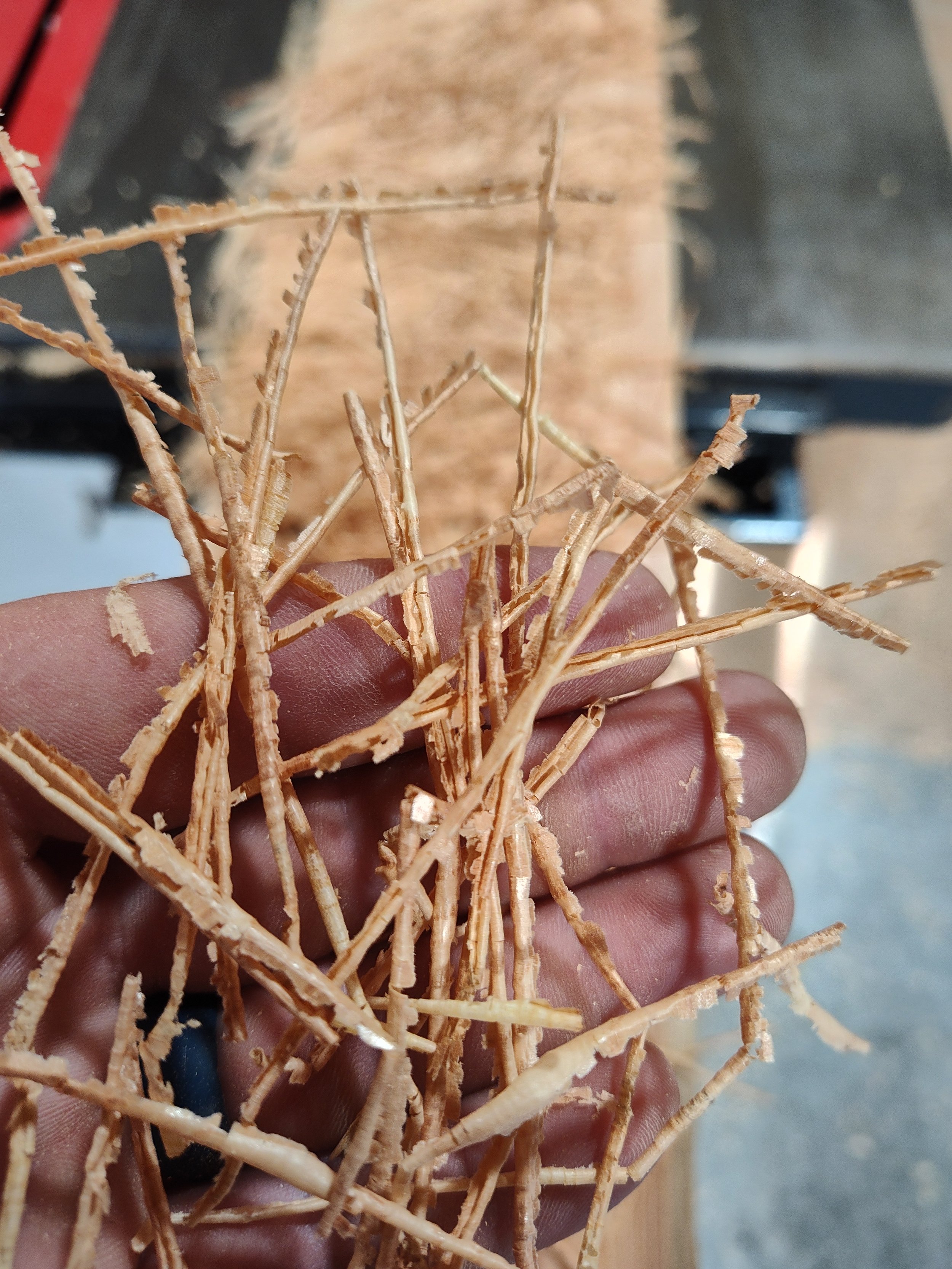A hand holding a bunch of small, dry, beige-colored twigs or roots.