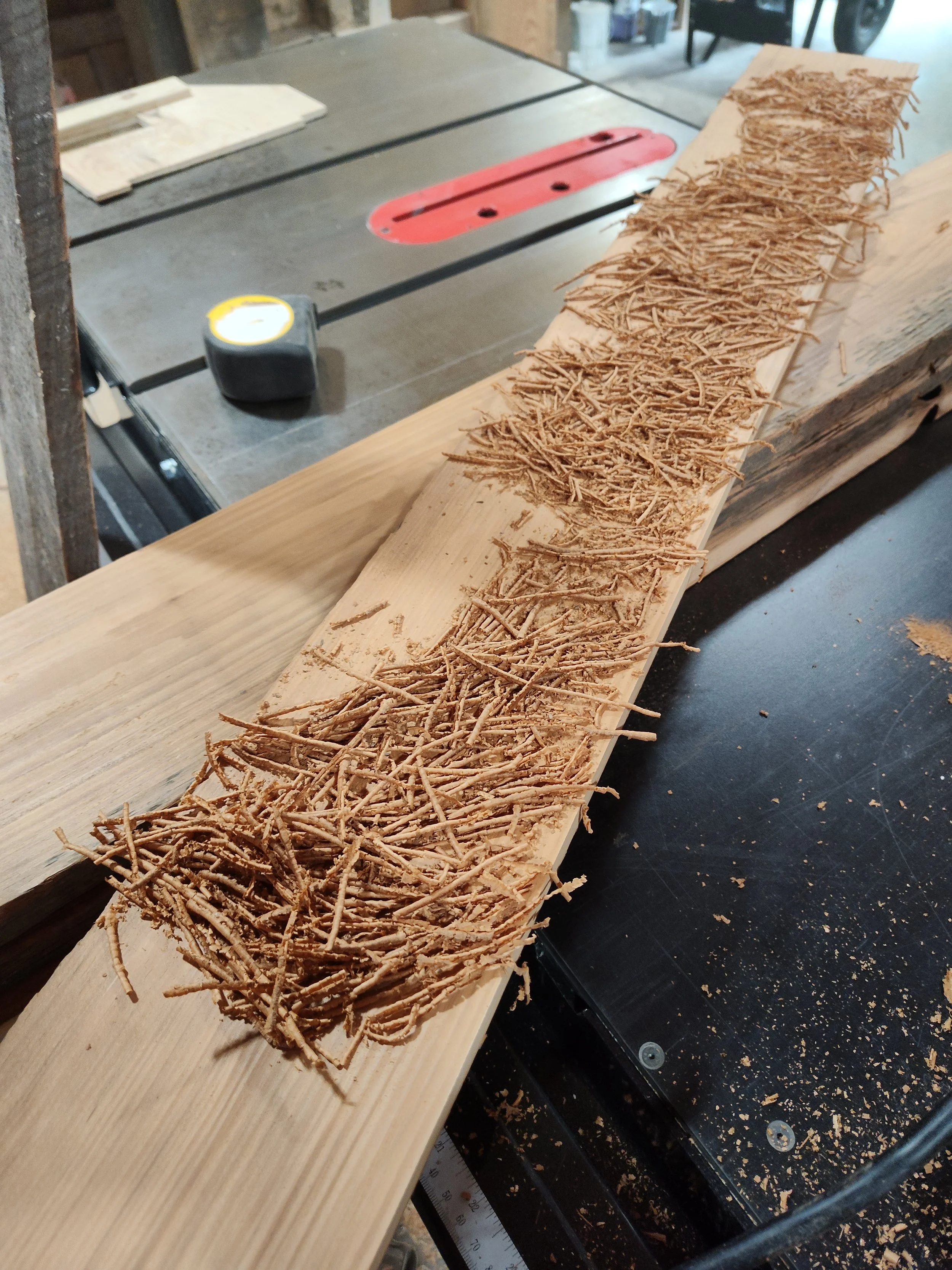 Wood shavings on a long piece of wood, with a table saw and workbench in the background.