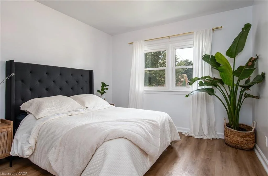 Bedroom with a bed featuring a black, tufted headboard, white bedding, and pillows. A side table with a plant, a large window with white curtains, and a large potted plant in a wicker basket near the window.