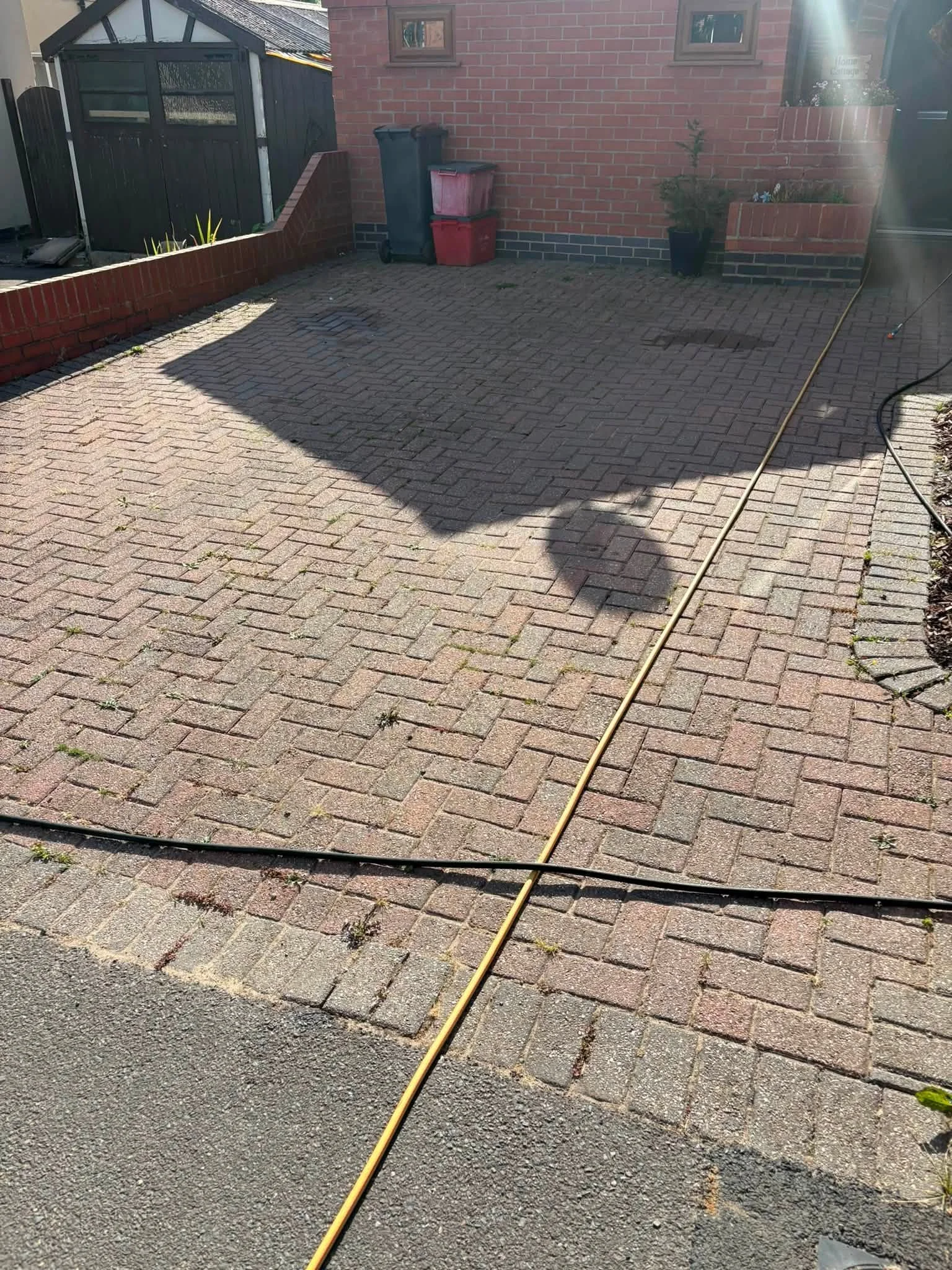 A paved backyard with a brick wall, potted plant, and trash bins, with sunlight creating a shadow on the ground.
