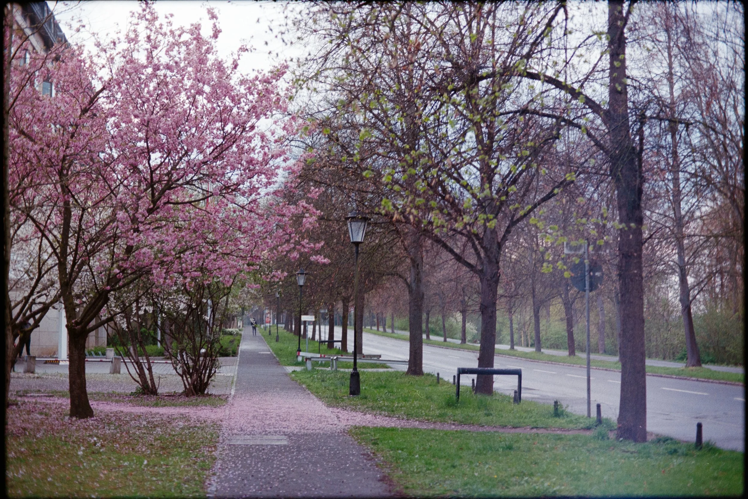 Arian 01-047 (1).jpg