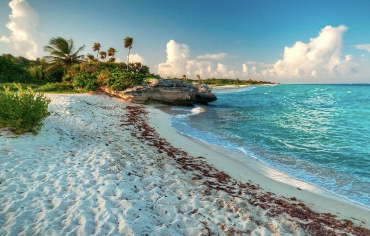 Where to Stay and What to Do in Cozumel Beyond the Reef