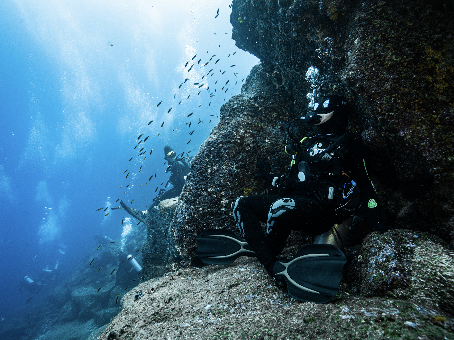 GoPro Escapes Are Back