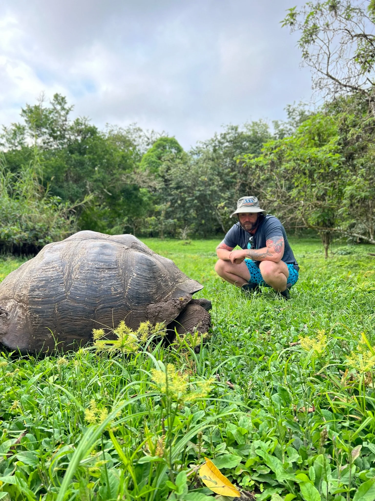 A man crouching in a lush green outdoor area next to a large turtle, with a background of trees and cloudy sky.