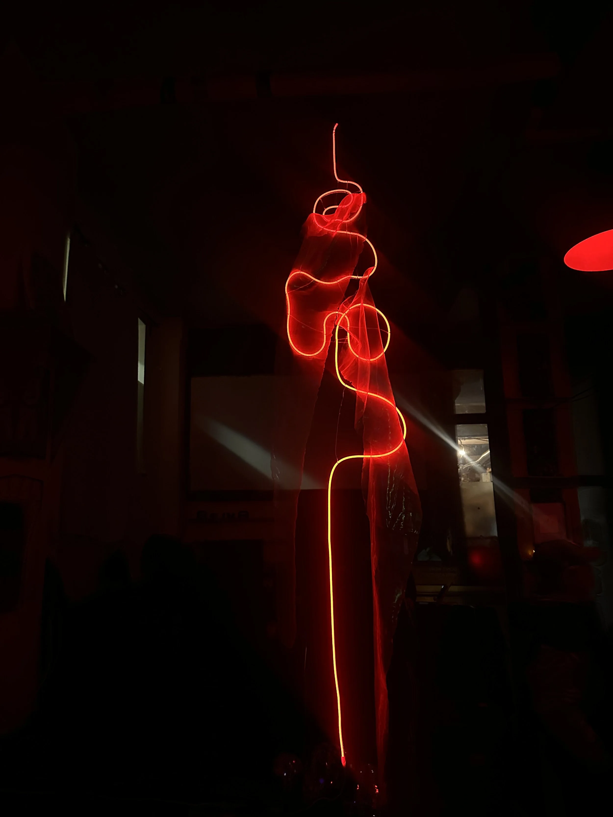 Red light trails in a dark room, with some faint outlines of furniture and people in the background.