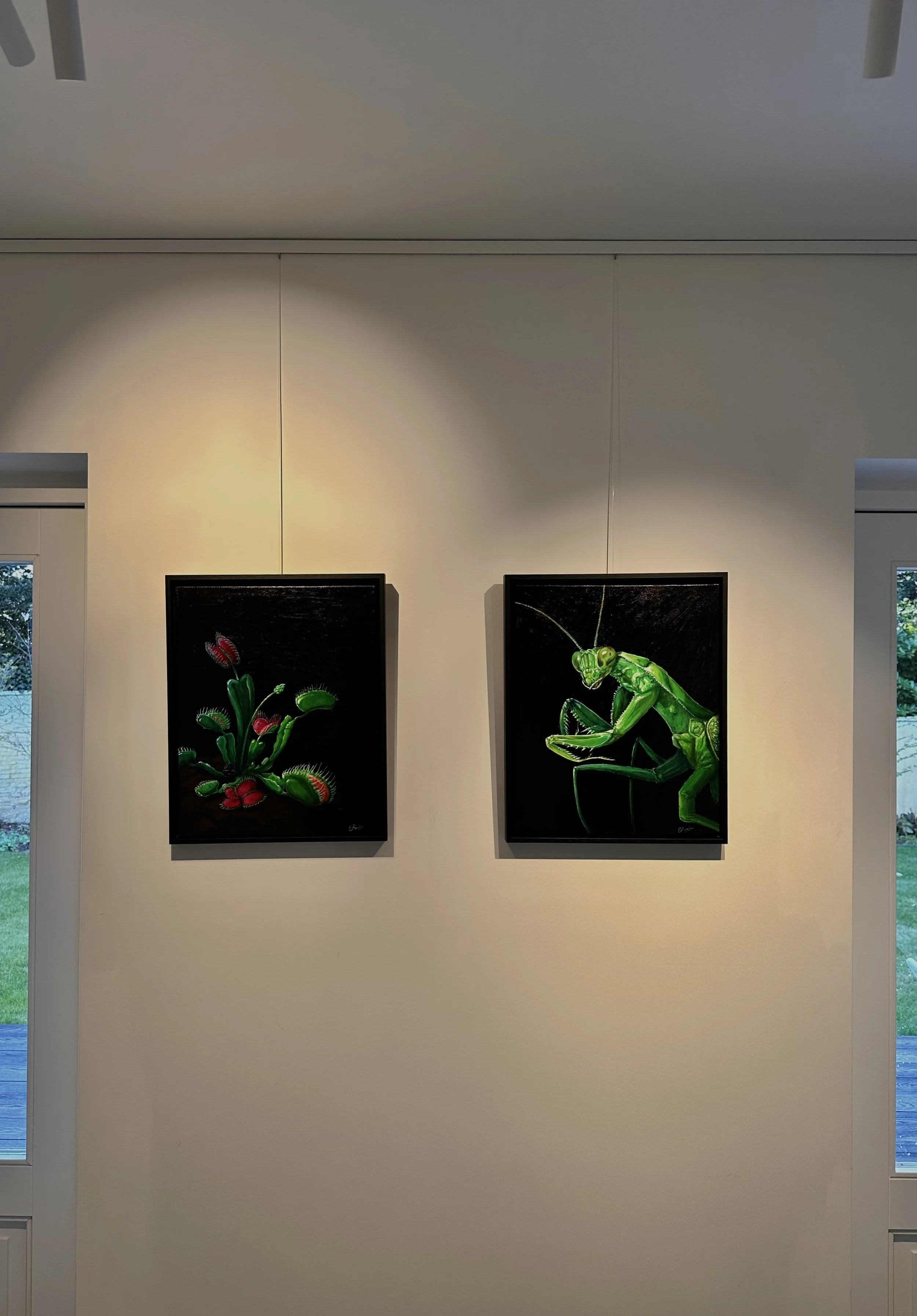 Two framed artworks of brightly colored insects, a flytrap plant and a praying mantis, are hung on a white wall in an art gallery. There are windows on either side of the artworks, showing trees outside.