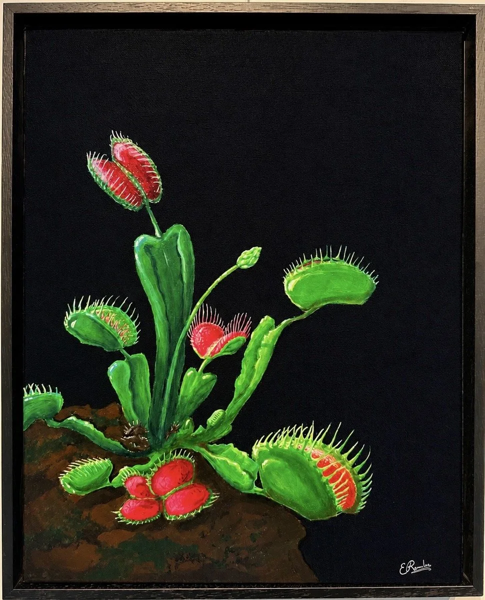 AMO

Acrylic on canvas
50 × 40 cm