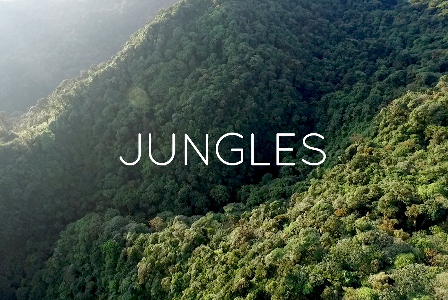 Aerial view of a lush green jungle with dense trees on mountains, sunlight illuminating part of the forest, and the word 'JUNGLES' in white letters in the center.