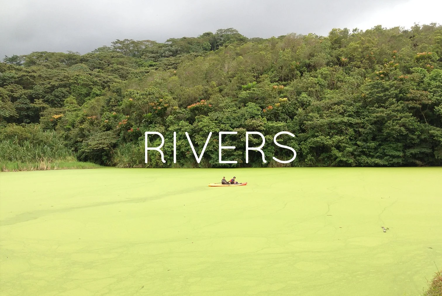 A river covered with green algae or aquatic plants, with two people kayaking on the water, and a dense forested hillside in the background under a cloudy sky.