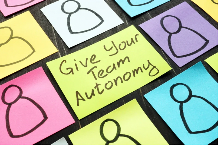 Autonomy as Strategy