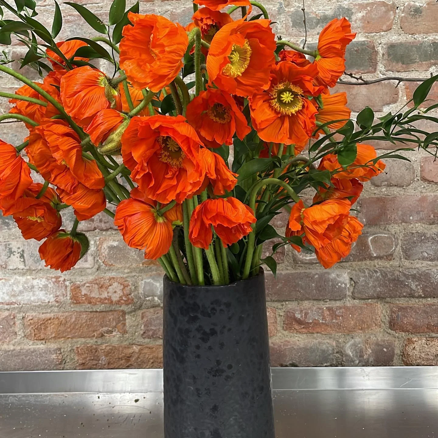 A bouquet of bright orange poppies with ruffled petals and yellow centers, arranged in a black vase, set in front of a brick wall.