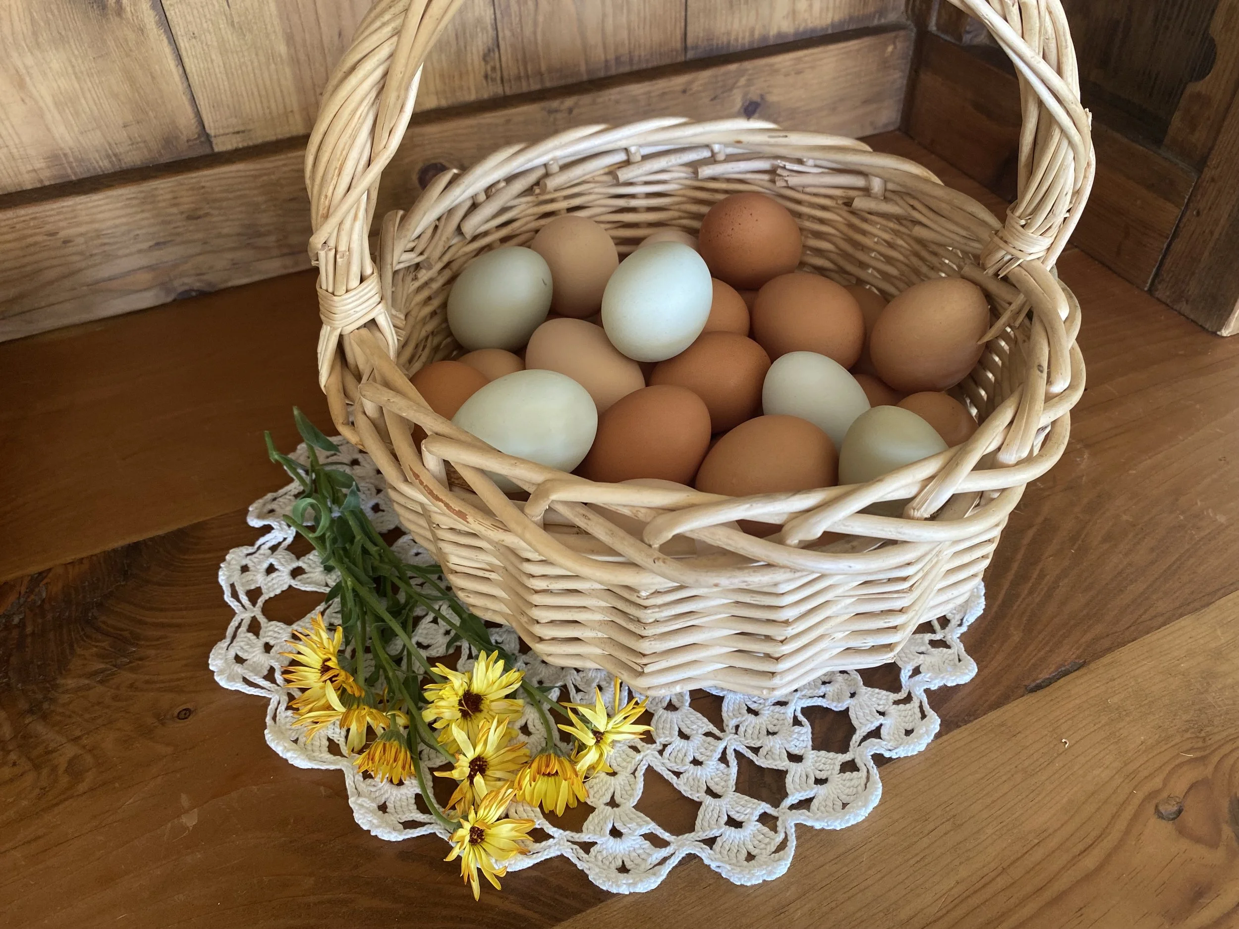 Farm Fresh Eggs by the Dozen