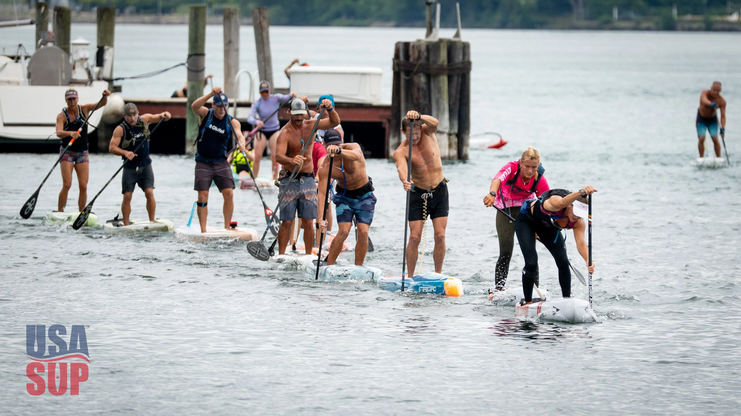 paddle board racers paddling in a line