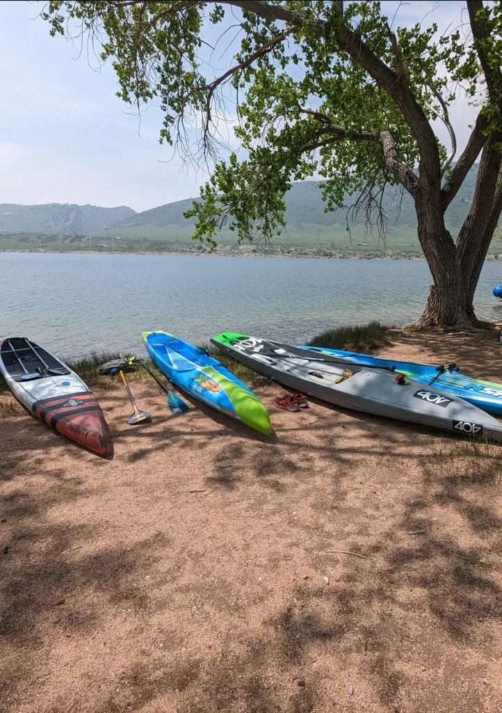 Four stand-up paddleboards rest on the sandy shoreline of a lake, with a tree providing shade. The lake extends to distant hills under a light, slightly cloudy sky.