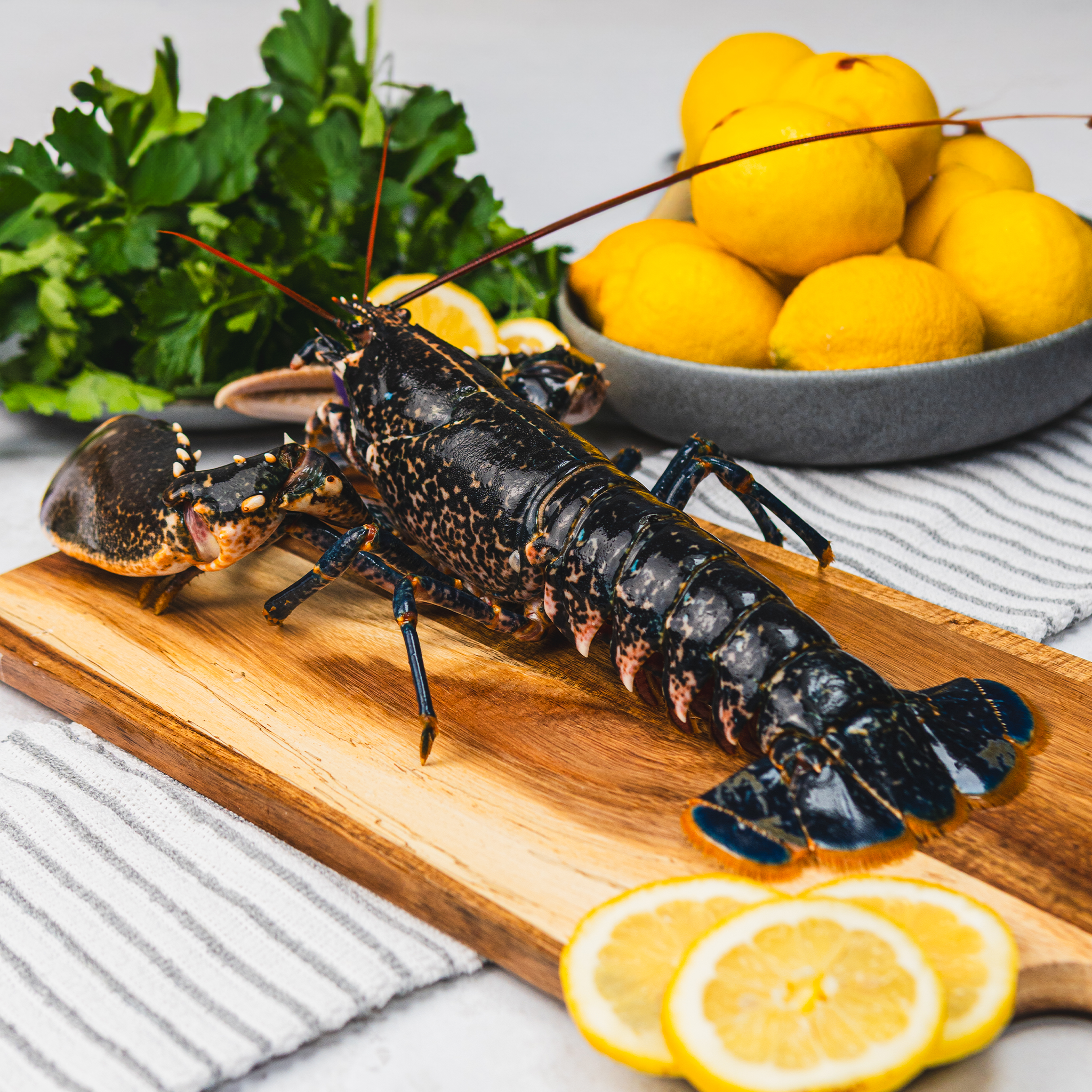 IS034 Lobster.png