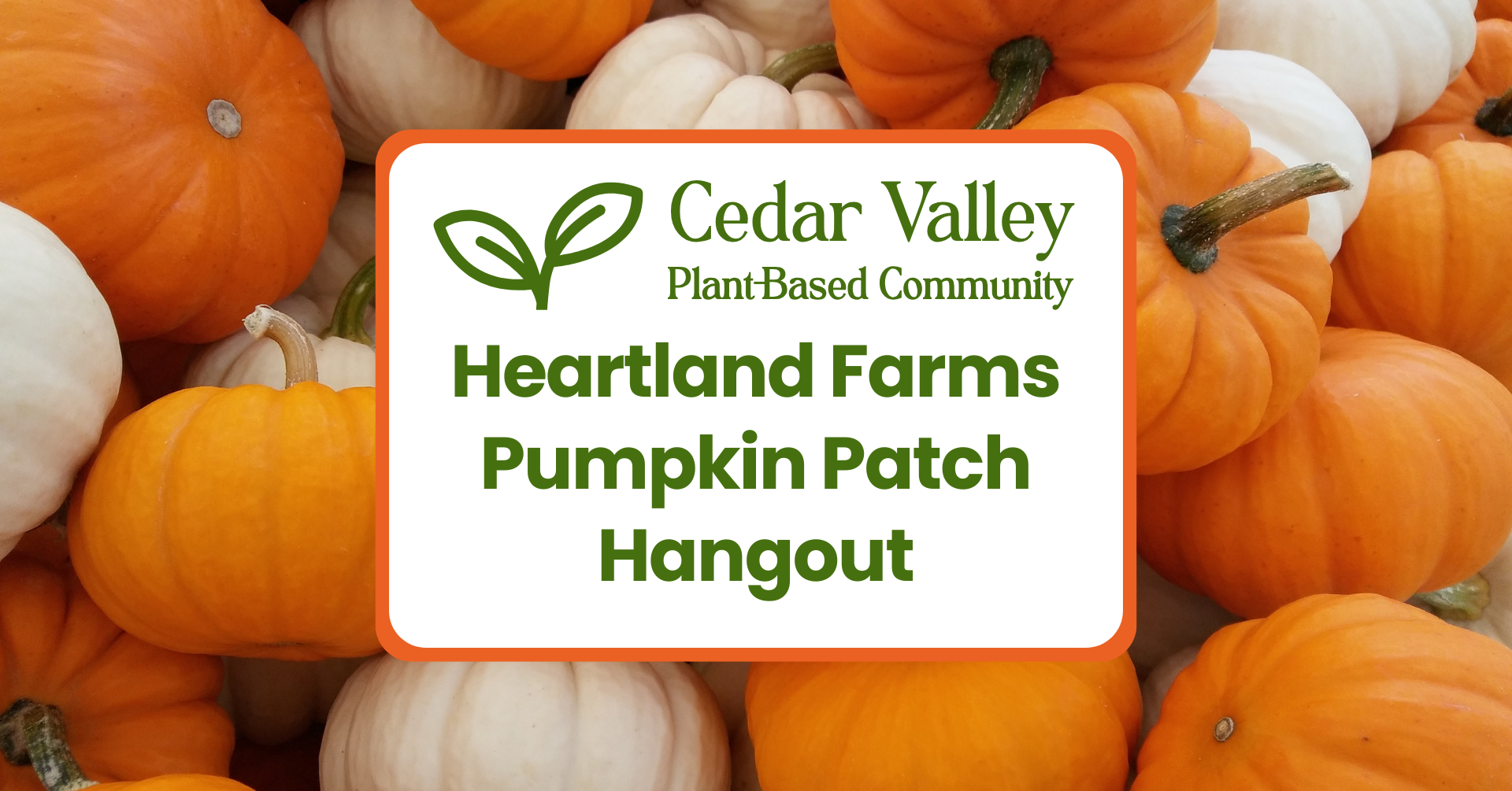 Pumpkin Patch Hangout