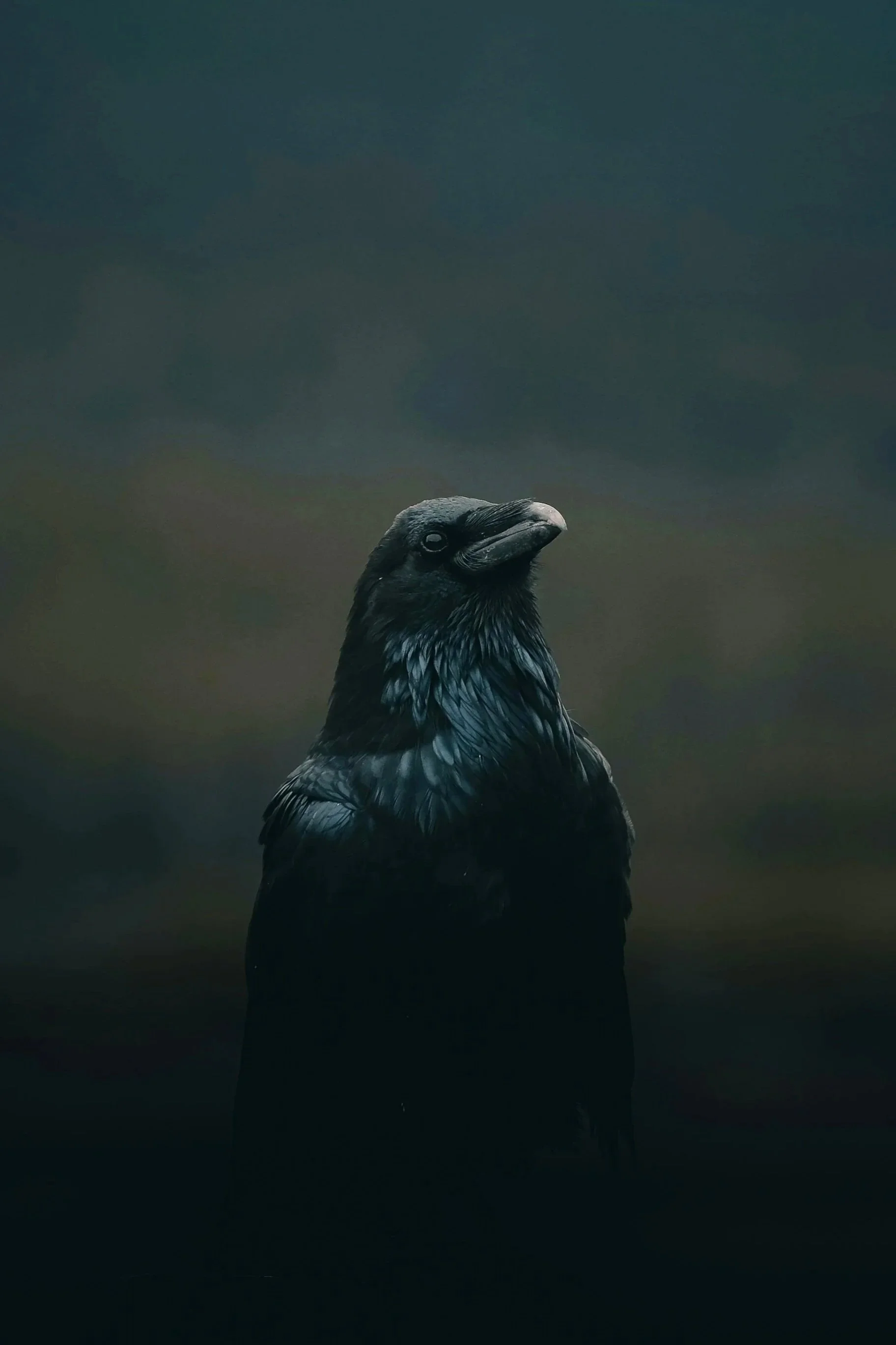 kevin-mueller-iBER-hi4DyU-unsplash.jpg