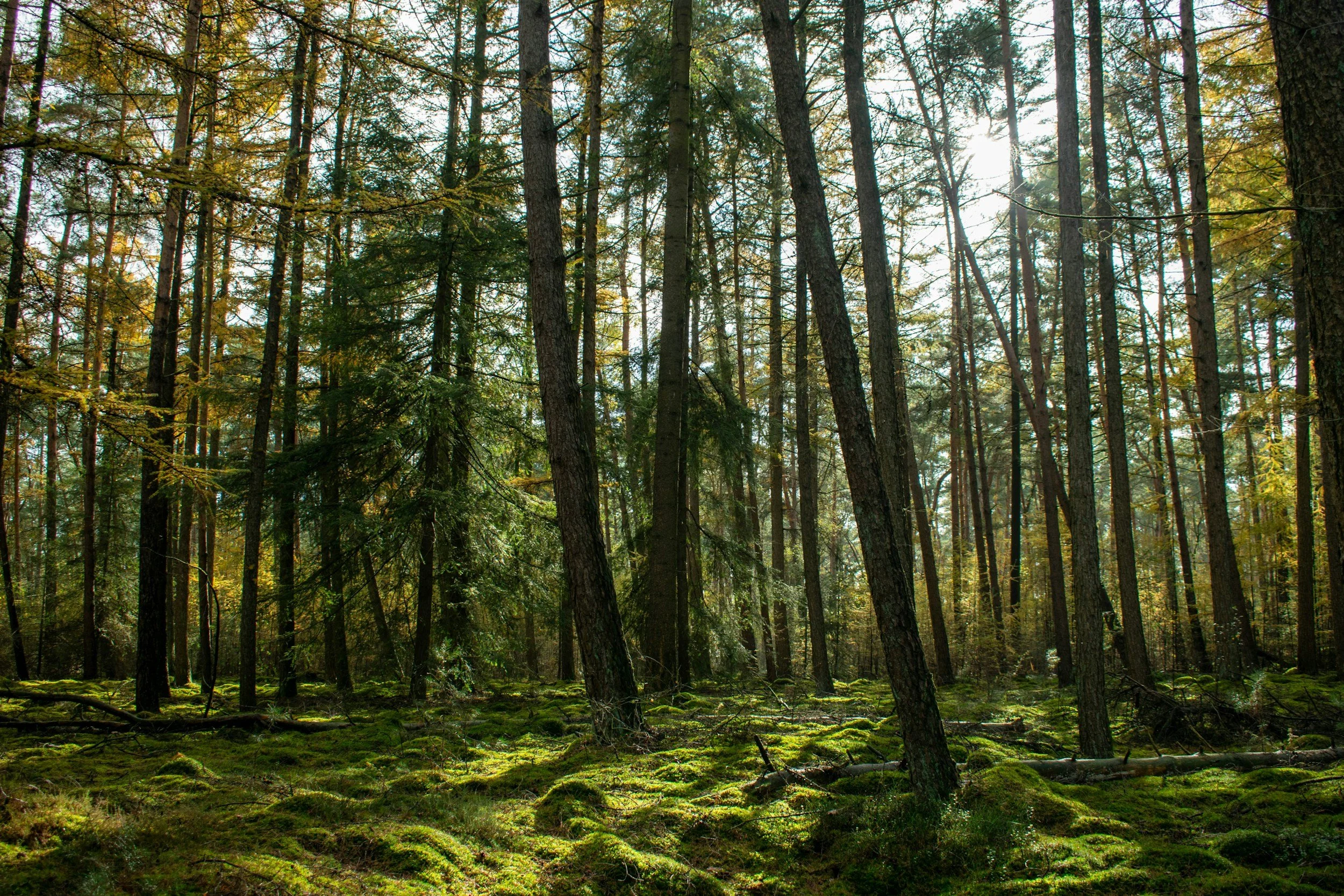 You’re Not Failing: Why You Feel Overwhelmed When You’re Used to Holding Everything Together