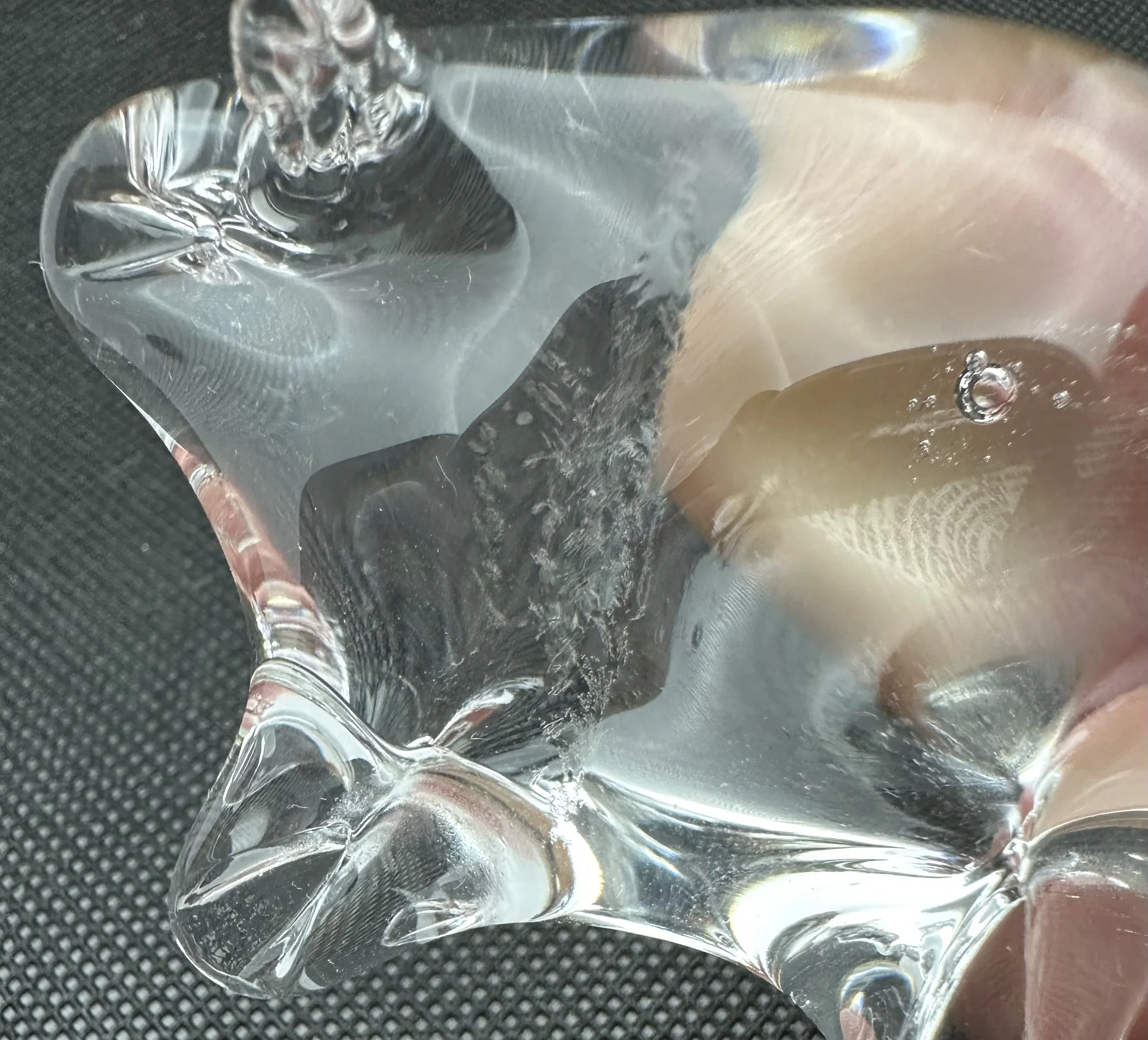 IMG_7340.jpeg