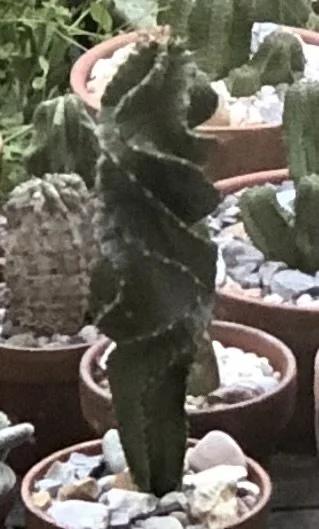 20190409_231703615_iOS.jpeg