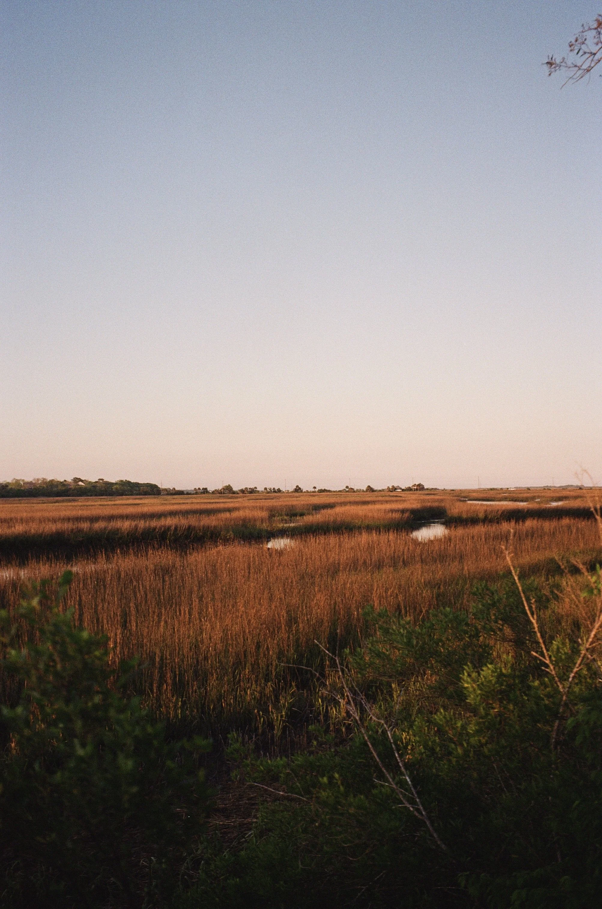 IMG_7486.jpg