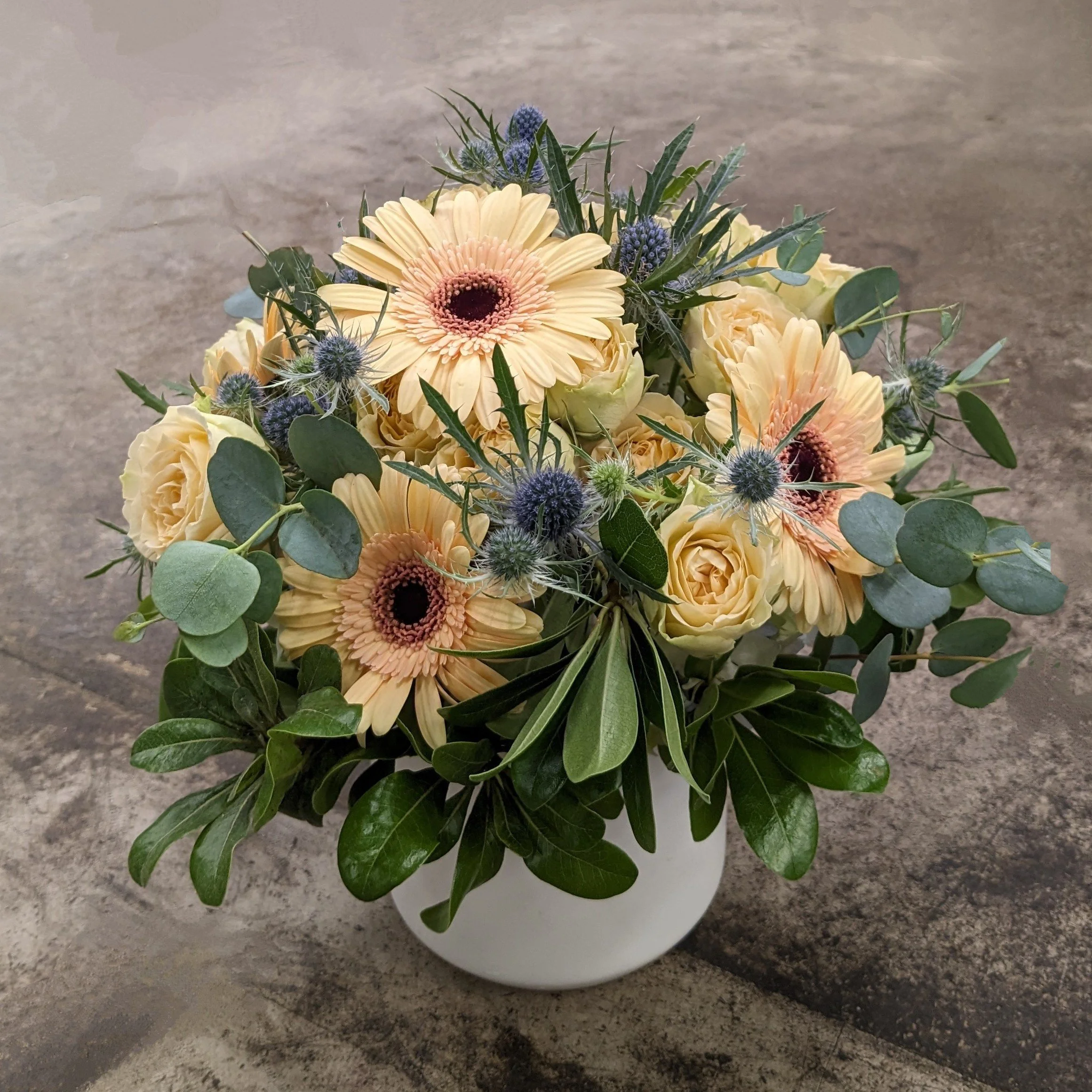 A bouquet of cream-colored gerbera daisies and purple thistles with green leaves in a white vase on a gray surface.