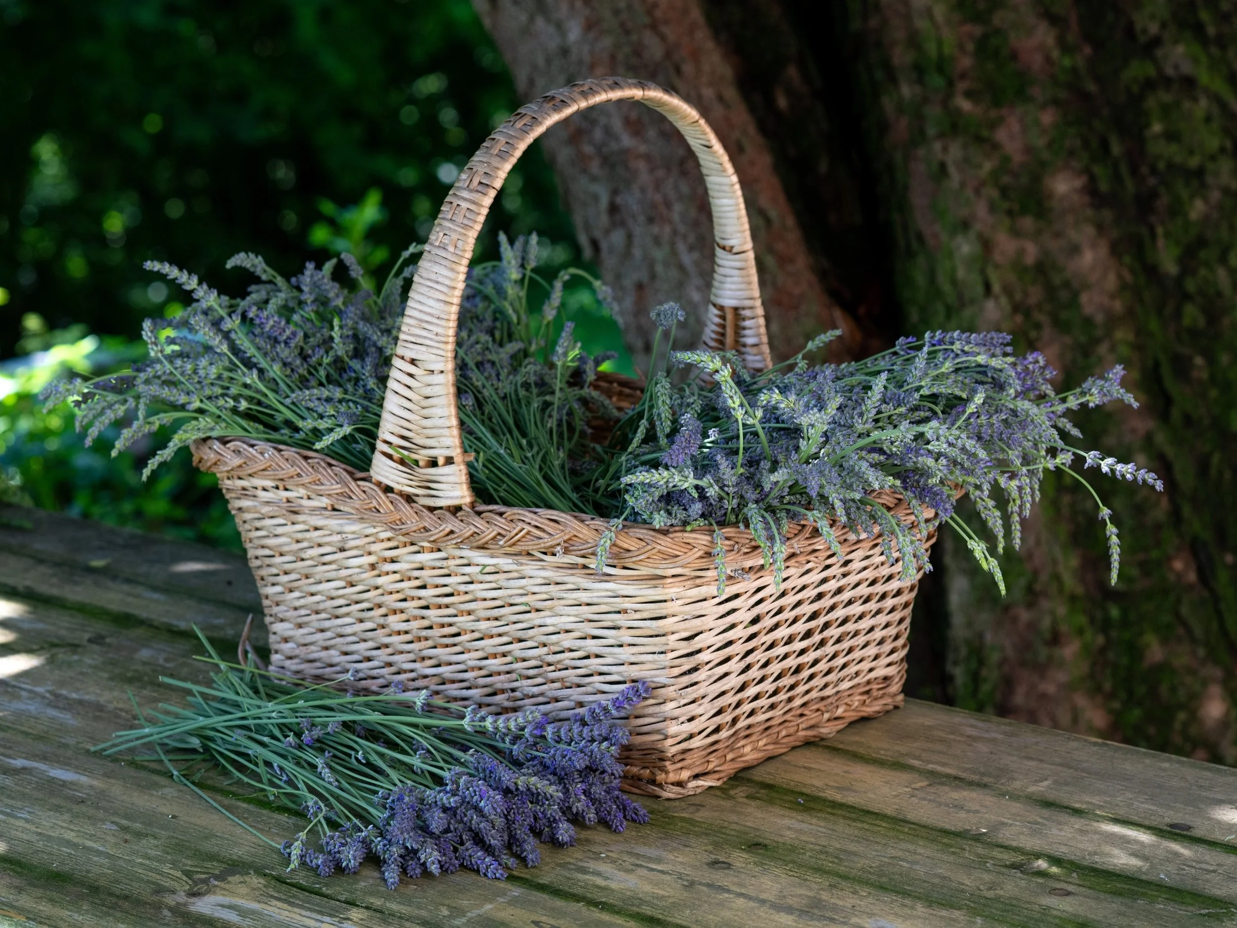 Gift Basket/Box