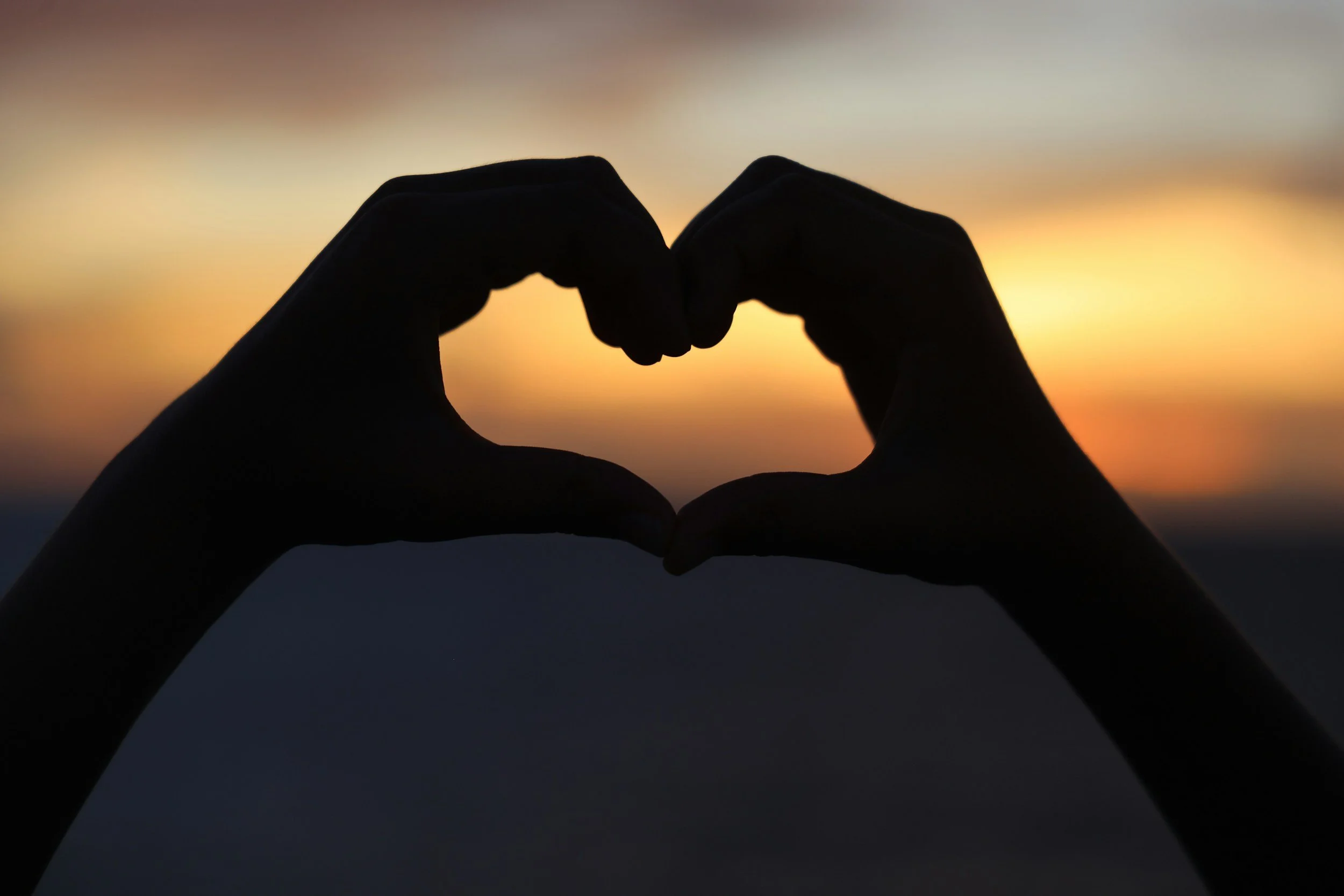 Gratitude for Lyme Disease Supporters