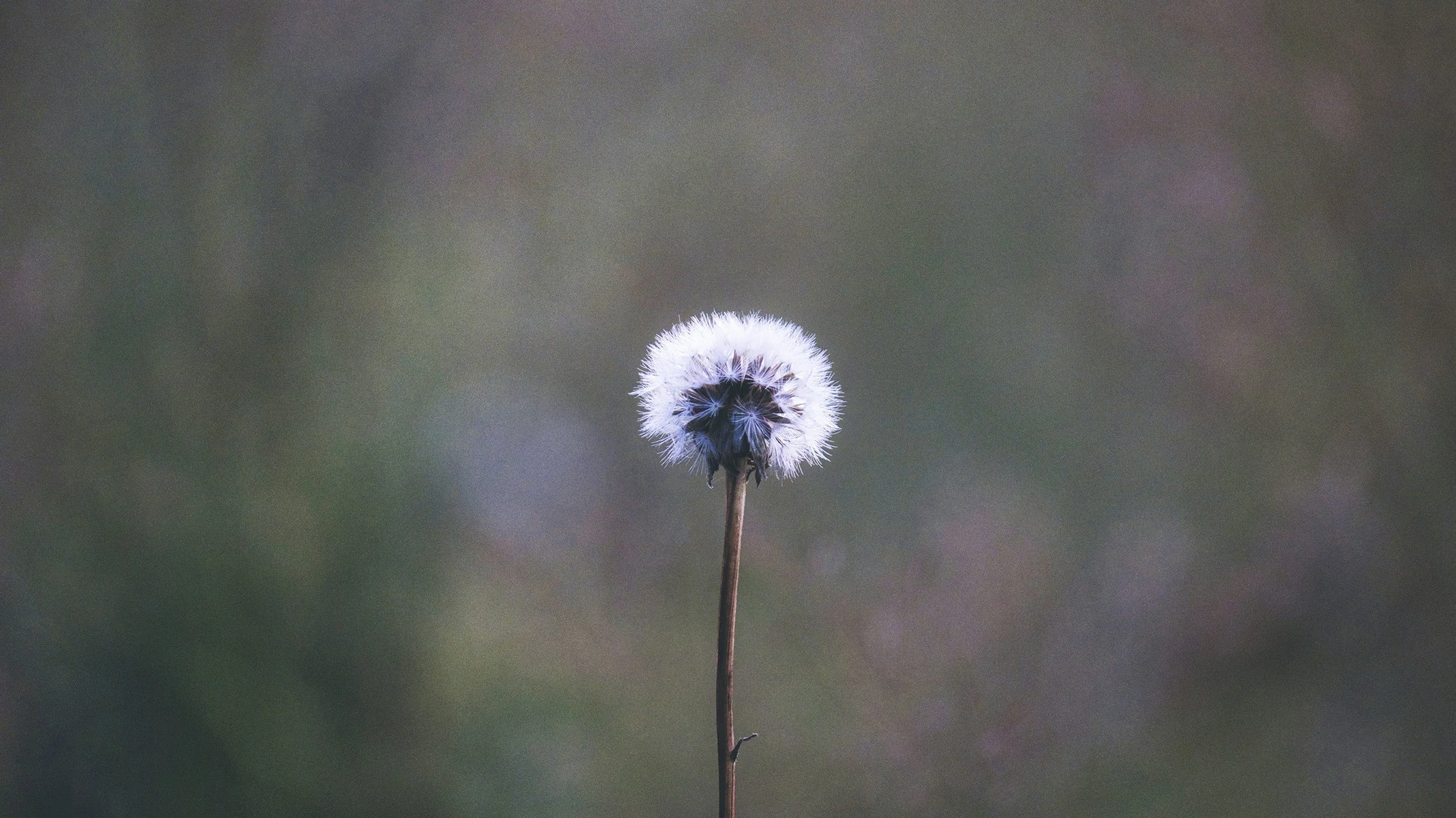 Embracing Vulnerability as a Lyme Disease Supporter