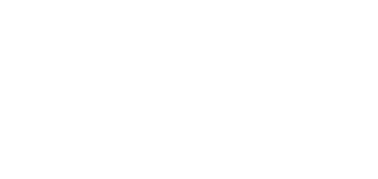 Generation Lyme
