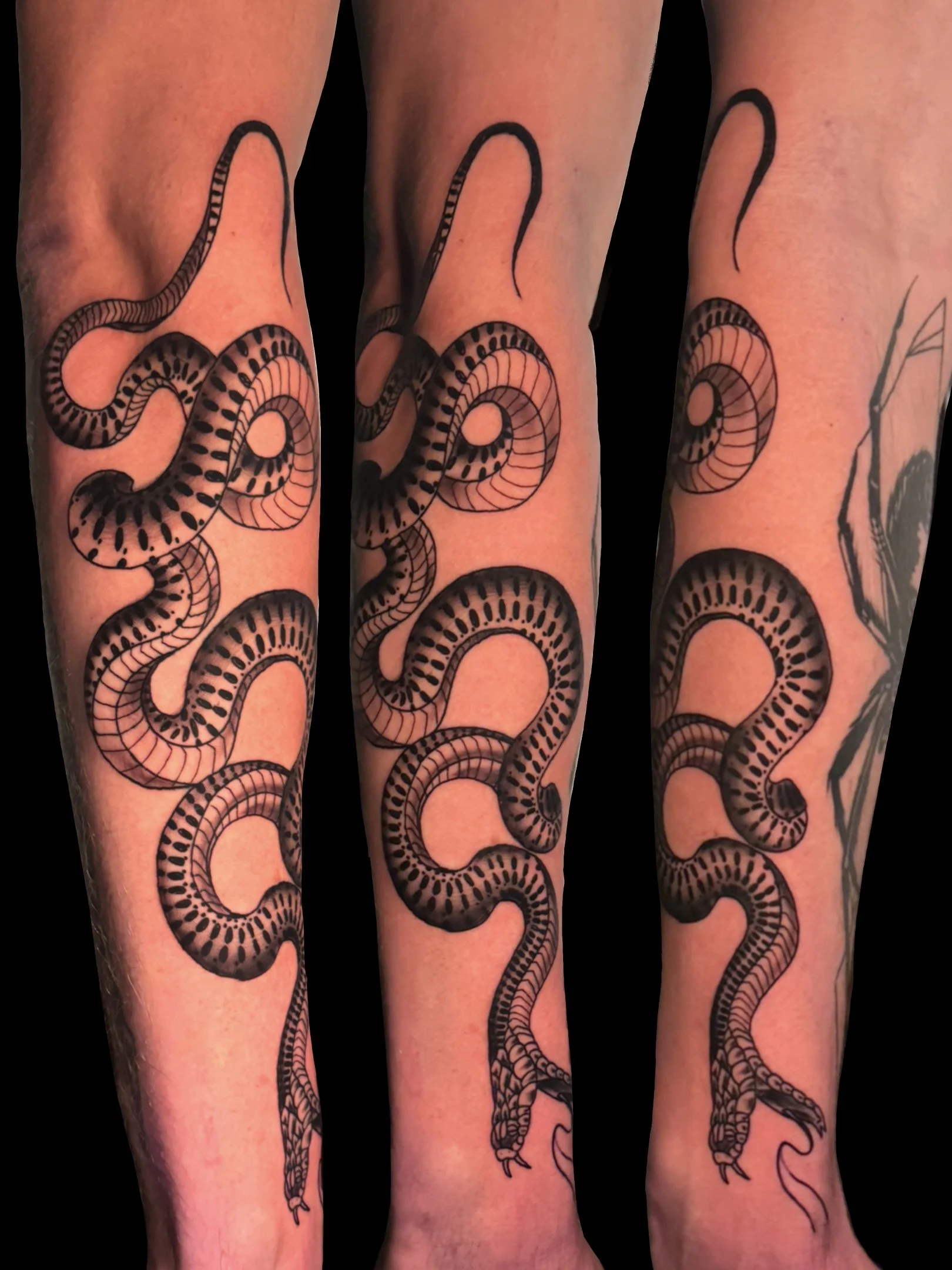 Black and gray tattoo of a snake with a detailed, patterned body, wrapping around a person's arm and forearm.