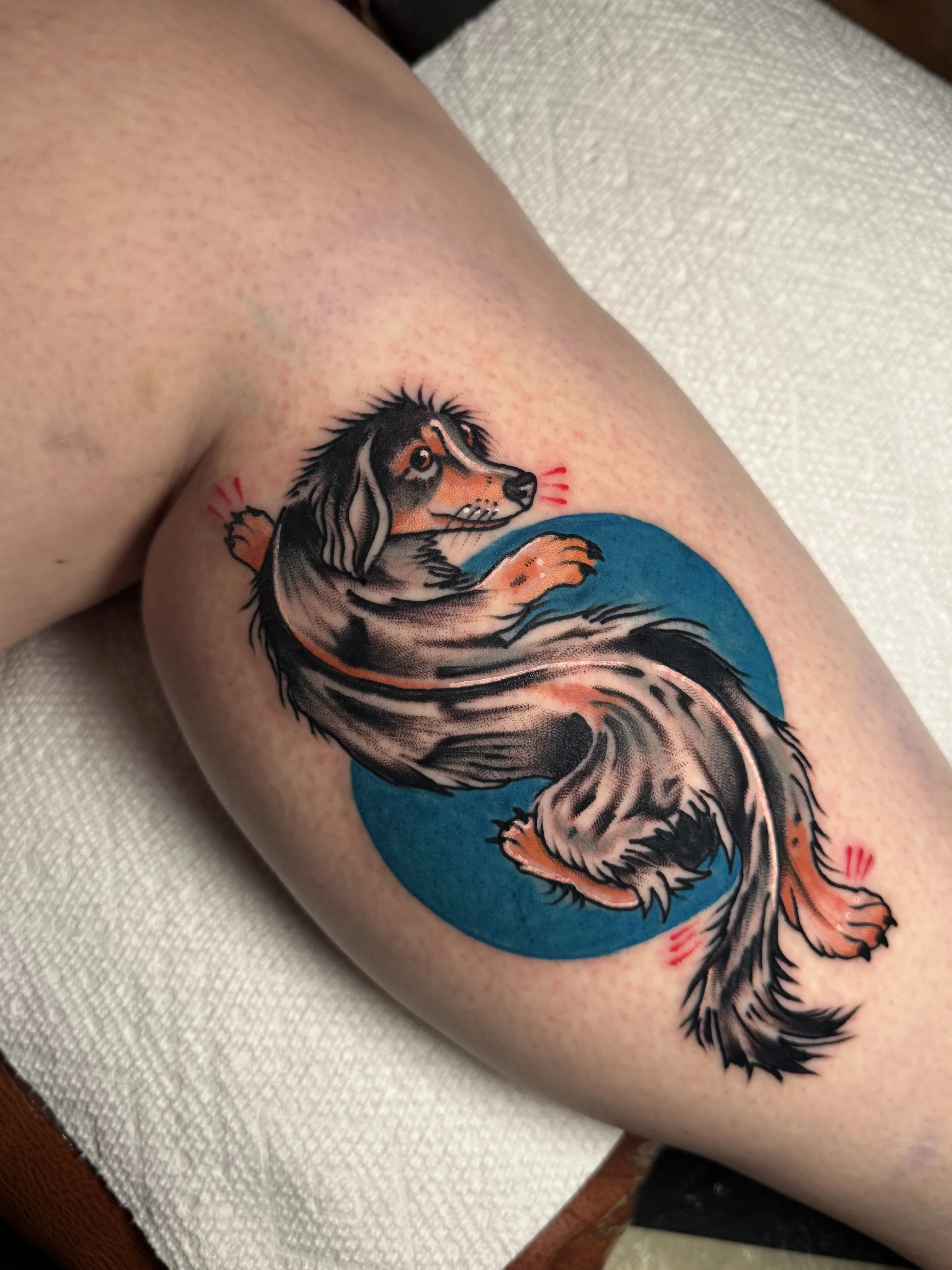 A colorful tattoo of a mythological mermaid with flowing hair and fins, surrounded by a blue circular background on a person's upper arm.