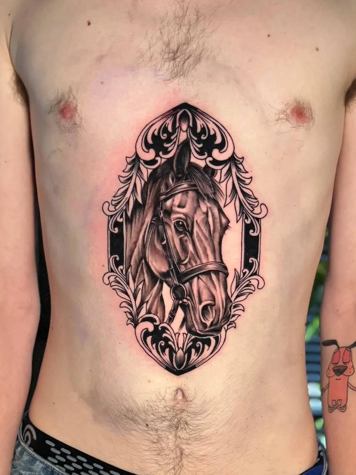 A tattoo of a detailed black and gray horse head inside an ornate decorative frame on a person's chest.