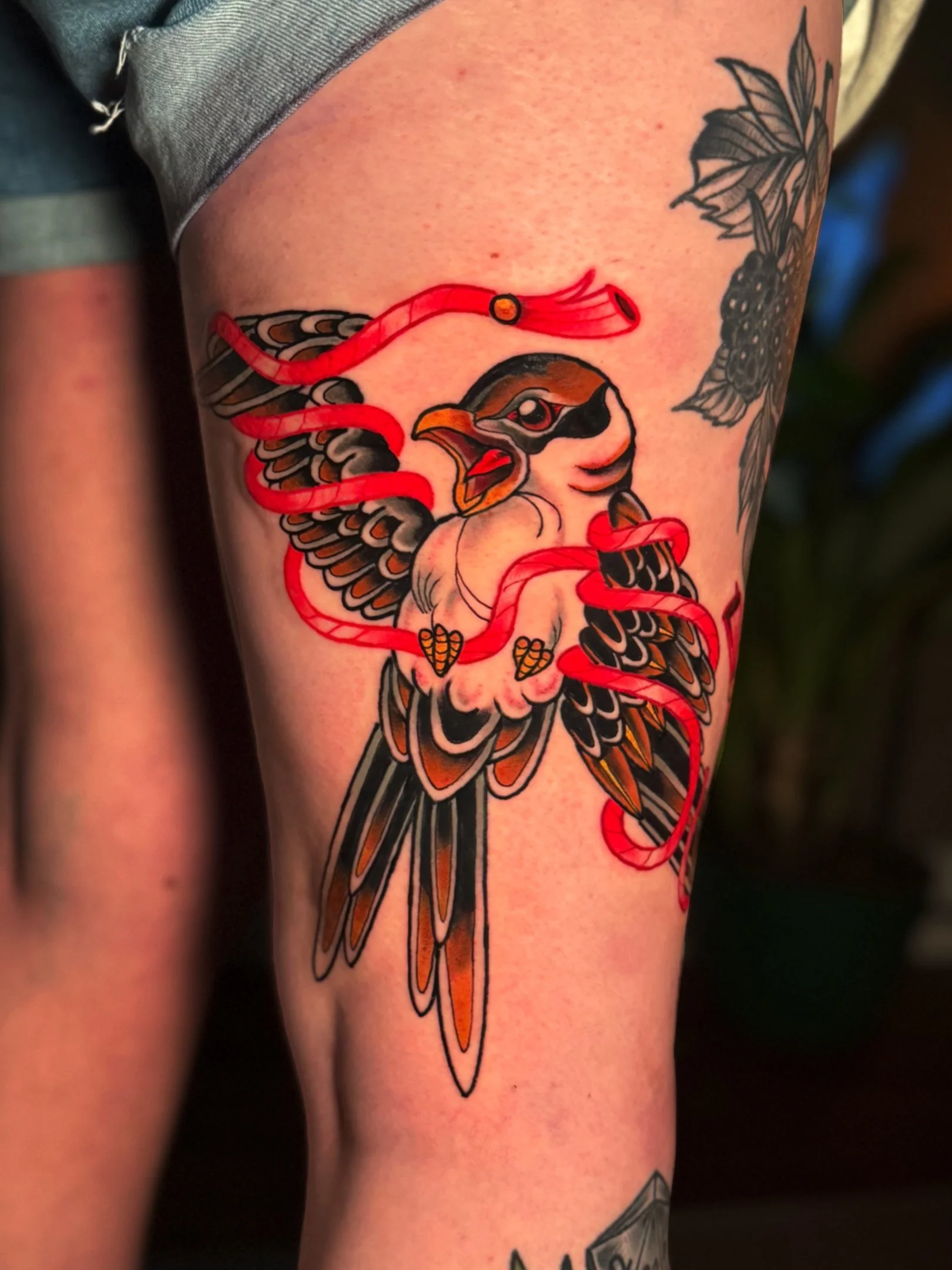Colorful tattoo of a swallow bird with a red ribbon and a honeycomb on the person's arm.