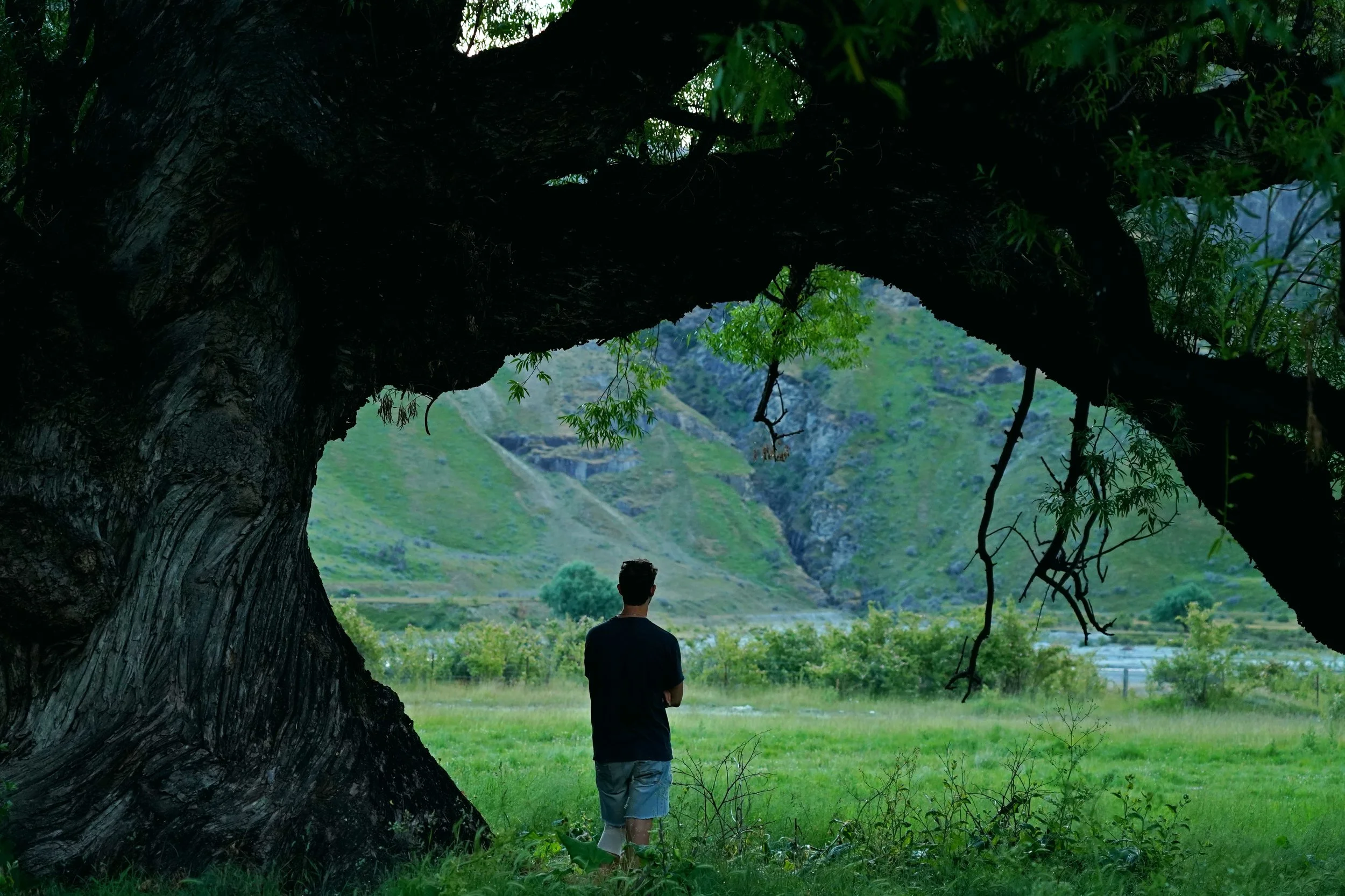 A person walking through a lush green landscape with big trees and mountains in the background.