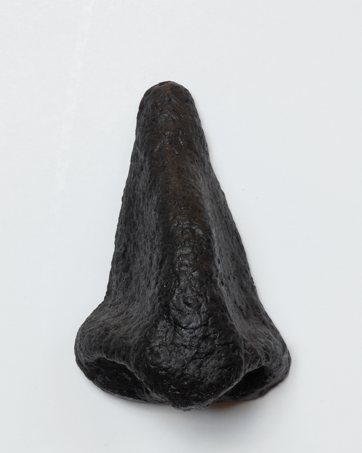 Nose Black Front.png
