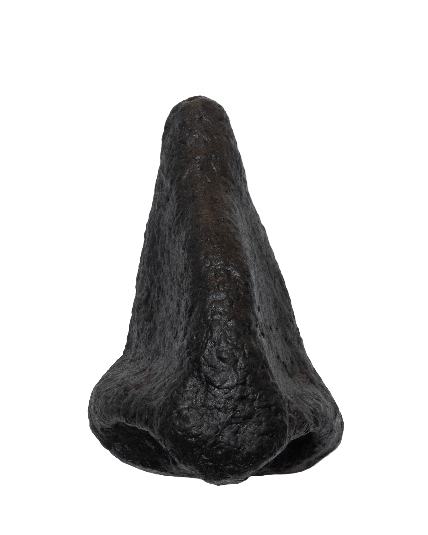 Nose Black Front copy.png