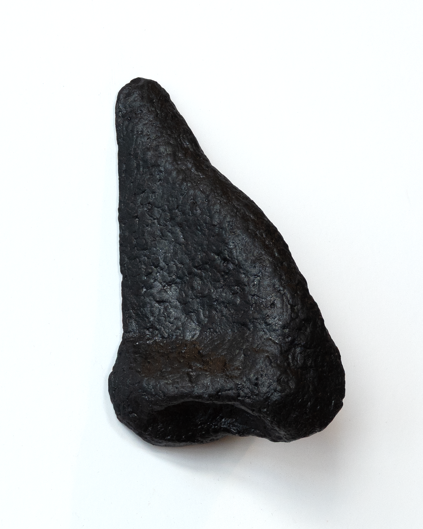 Nose Black Side.png