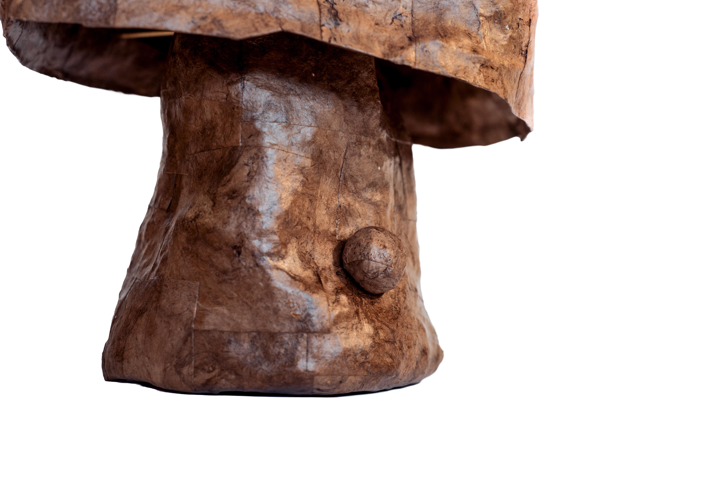 Close-up image of a rusted, textured, brown metallic sculpture with a rounded protrusion and uneven surface.
