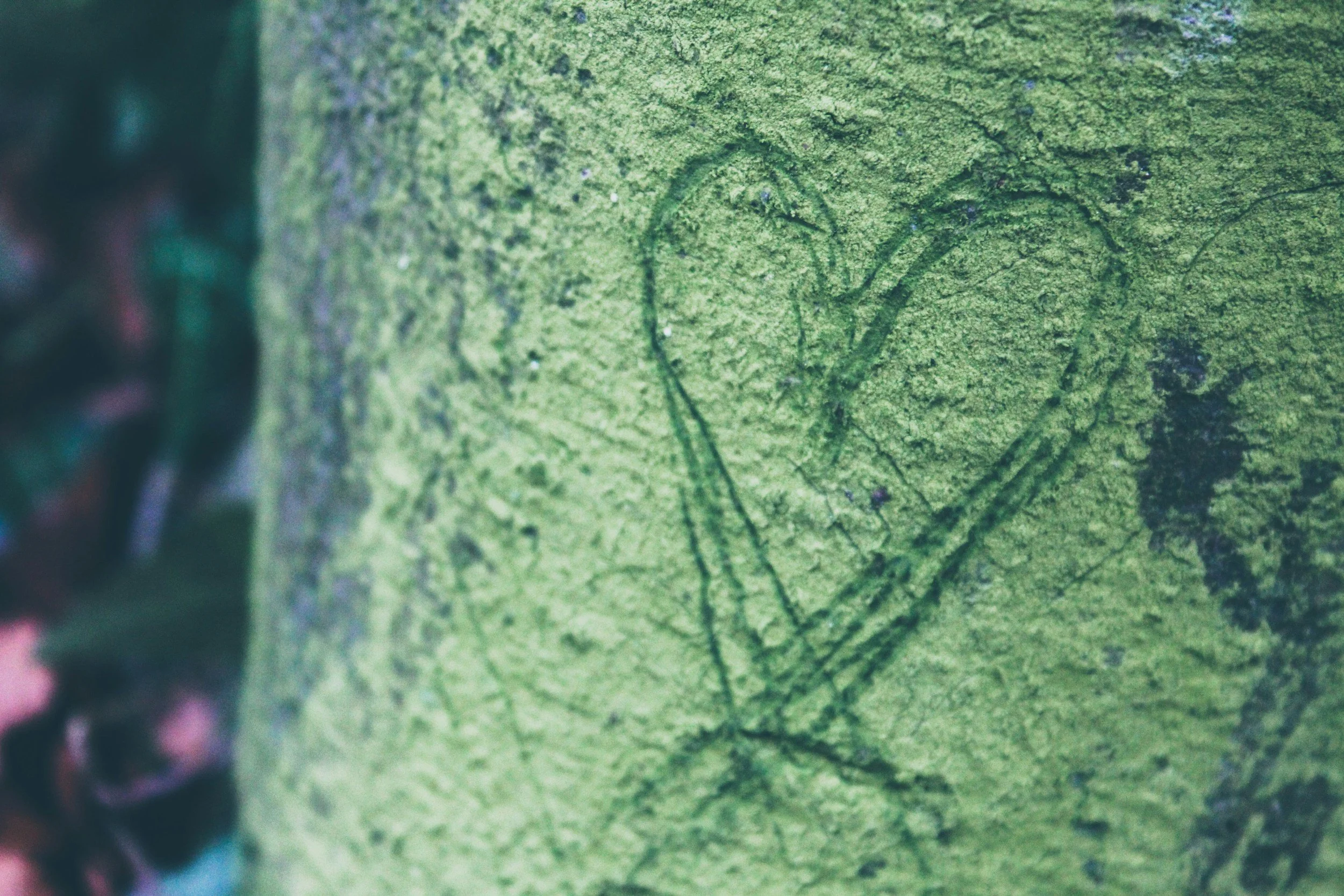 Close-up of a green, textured surface with faint circular and irregular patterns.