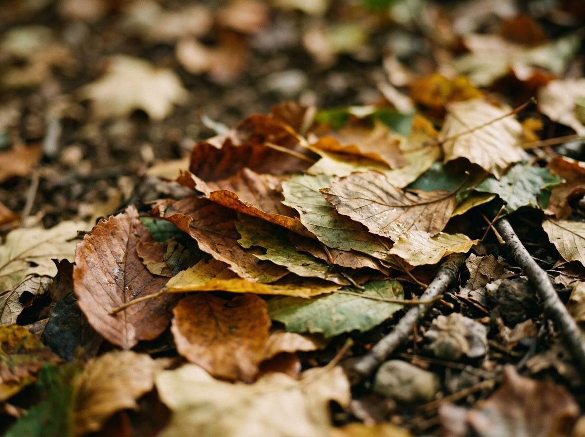 Pleasures of Autumn- A Cozy Eco-Erotic Experience