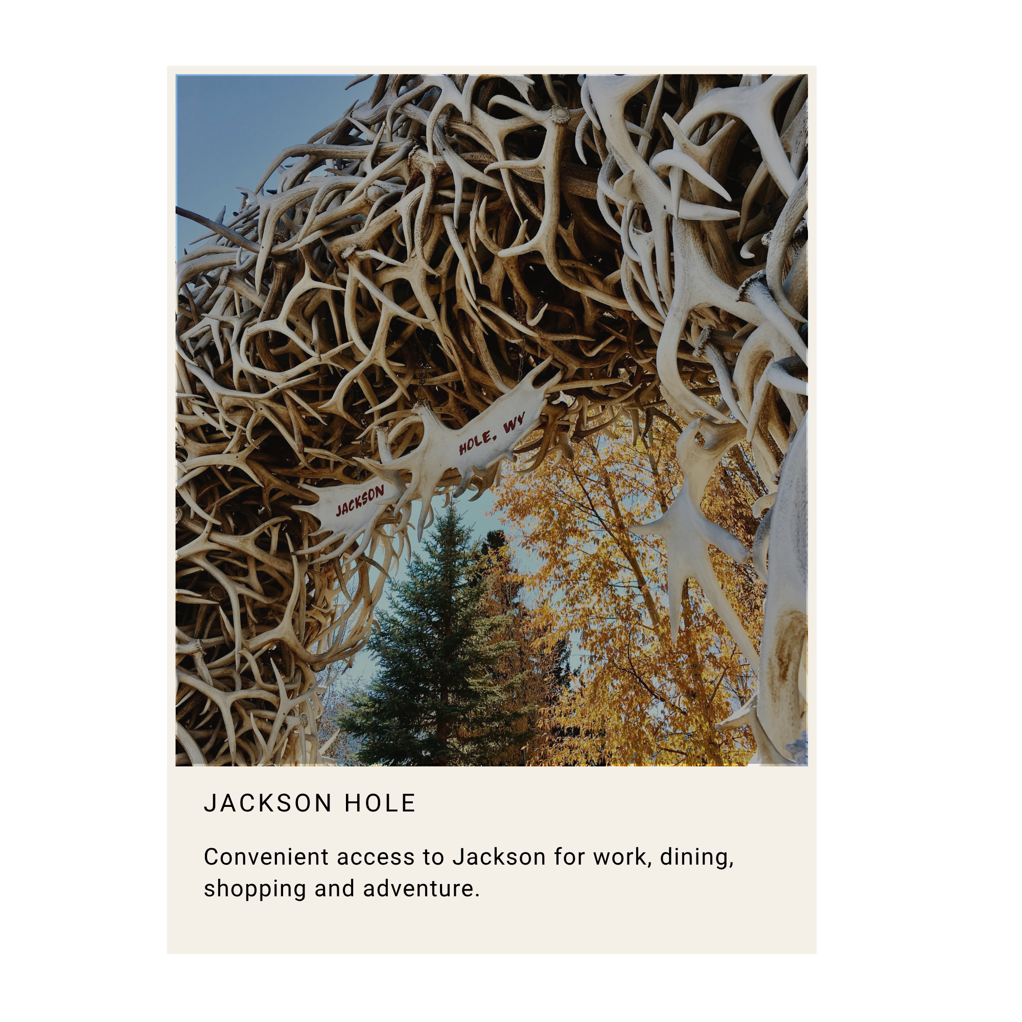 Close-up of a large pile of stacked antlers with a blue sky and trees with autumn leaves in the background, and a sign that says "Jackson Hole".